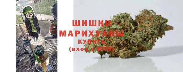 тгк Бородино