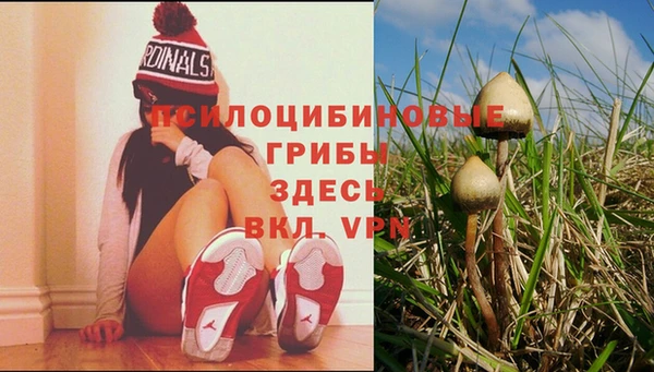 мяу мяу кристалл Бугульма