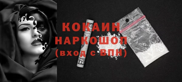 тгк Бородино