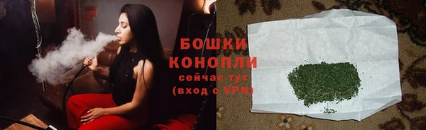 тгк Бородино