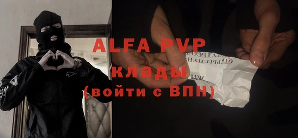 тгк Бородино